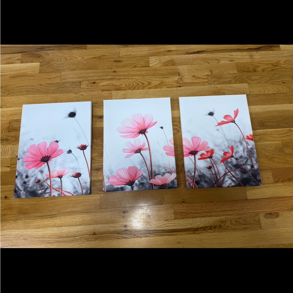 Pink Floral Canvas Wall Art Set